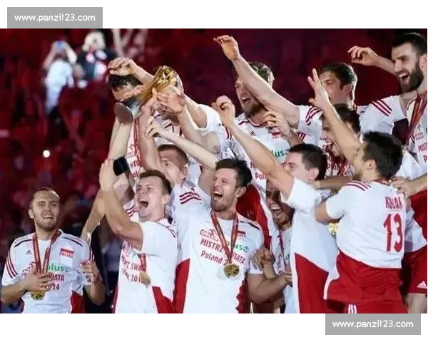 观众流失还是转移体育界需要警惕的信号